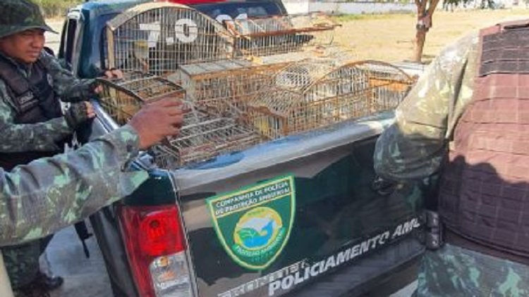 Três homens são presos animais silvestres e gaiolas em Paulo Afonso