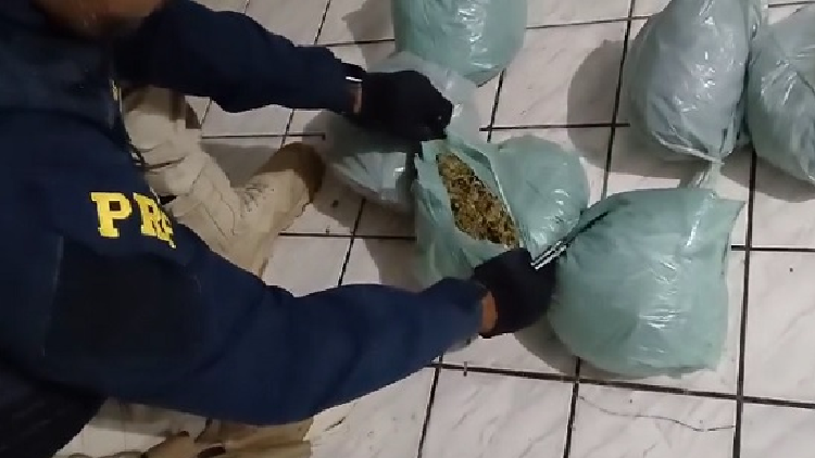 PRF apreende 9 kg de maconha após perseguição na BR 110 em Ibimirim