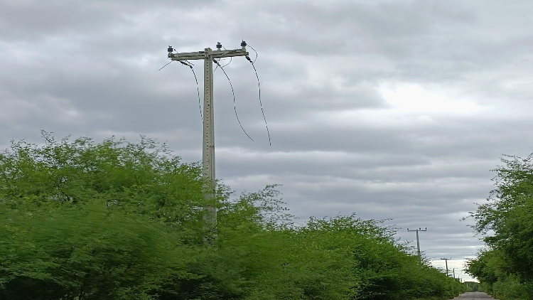 Neoenergia Pernambuco Registra 745 Casos De Furto De Cabos No Primeiro