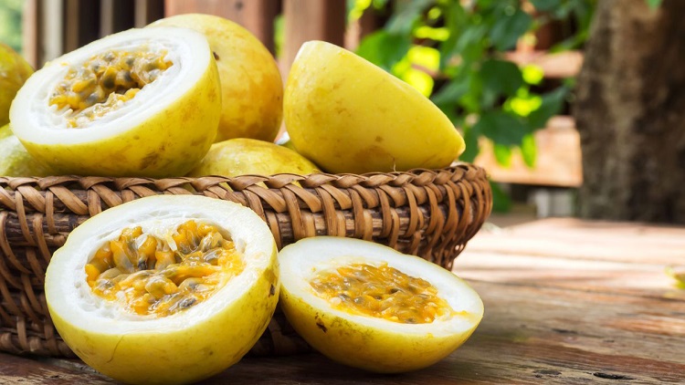 Preço do Maracujá volta a aumentar no Mercado do Produtor de Juazeiro ...