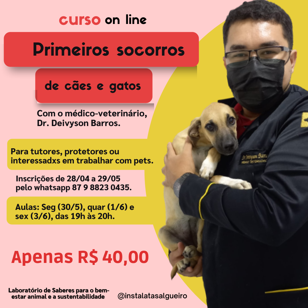 Curso on line de primeiros socorros para pets está com inscrições abertas  até o dia 29/05 – Blog do Waldiney Passos