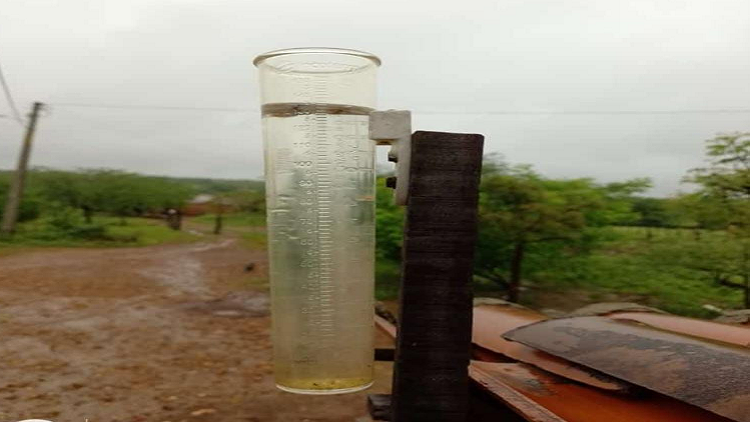 Chuva no Sertão! - Blog do Rodrigo - 1000 dias
