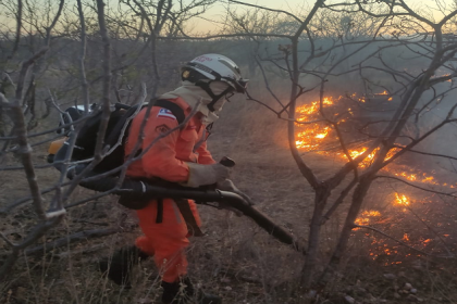 Bombeiro dentro de vegetação combatendo fogos na caatinga