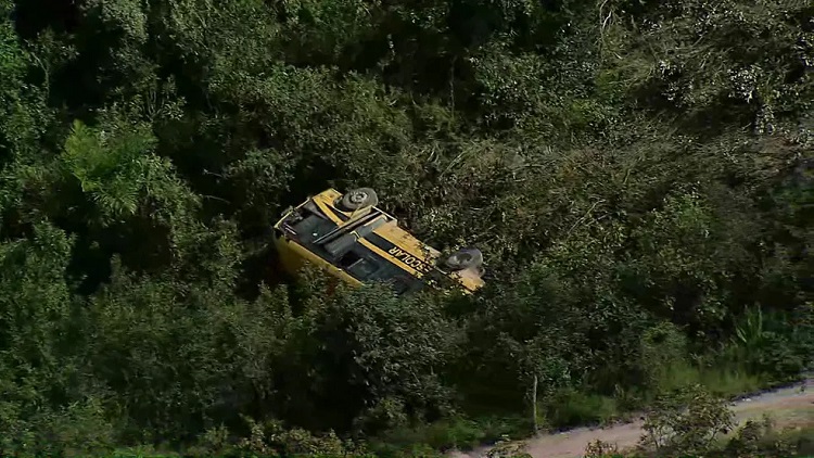Imagem de ônibus escolar caído na área de vegetação